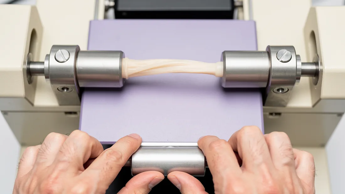 A pale tendon-shaped test strip held between the clamps of a mechanical testing instrument
